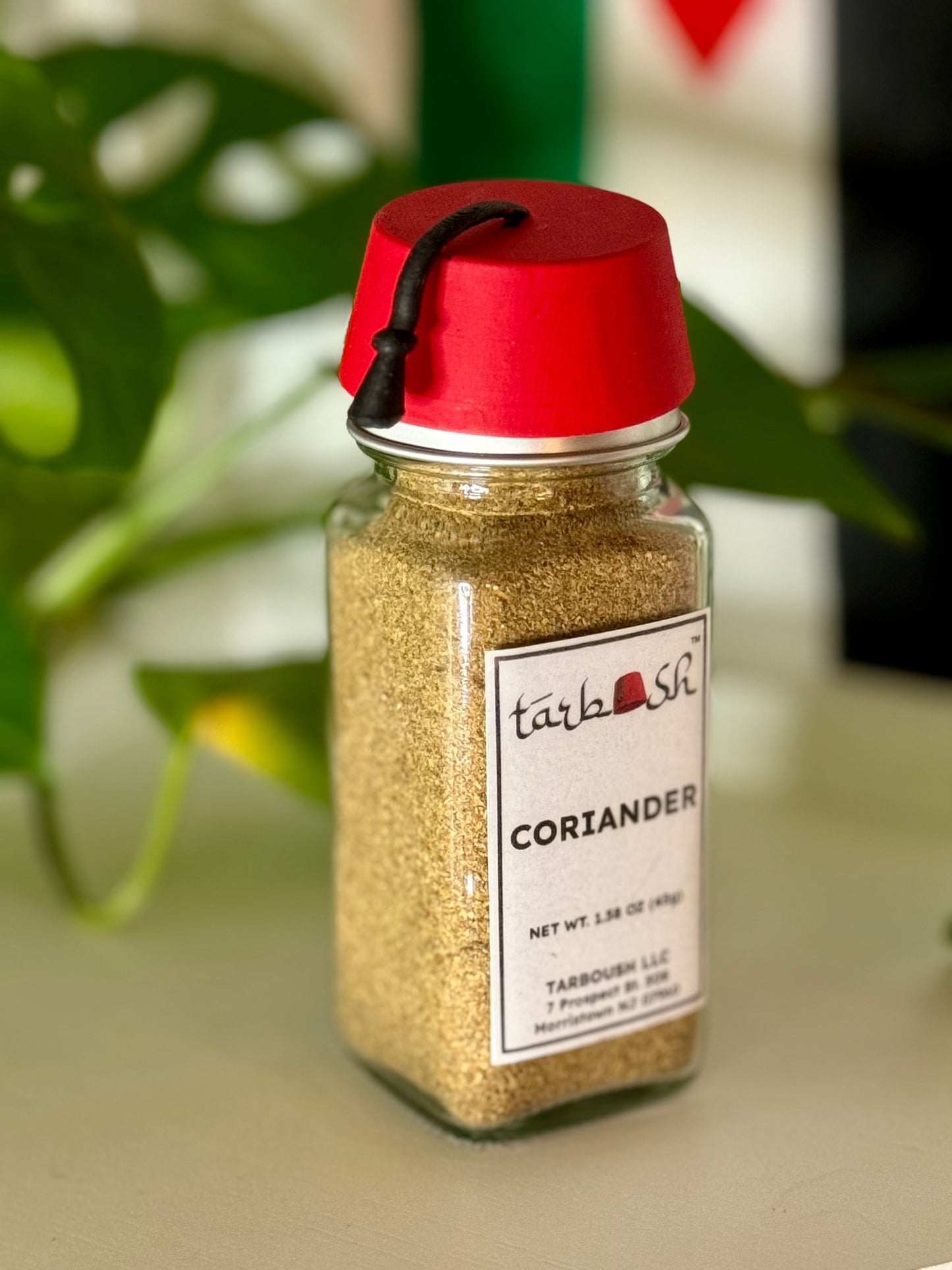 Coriander