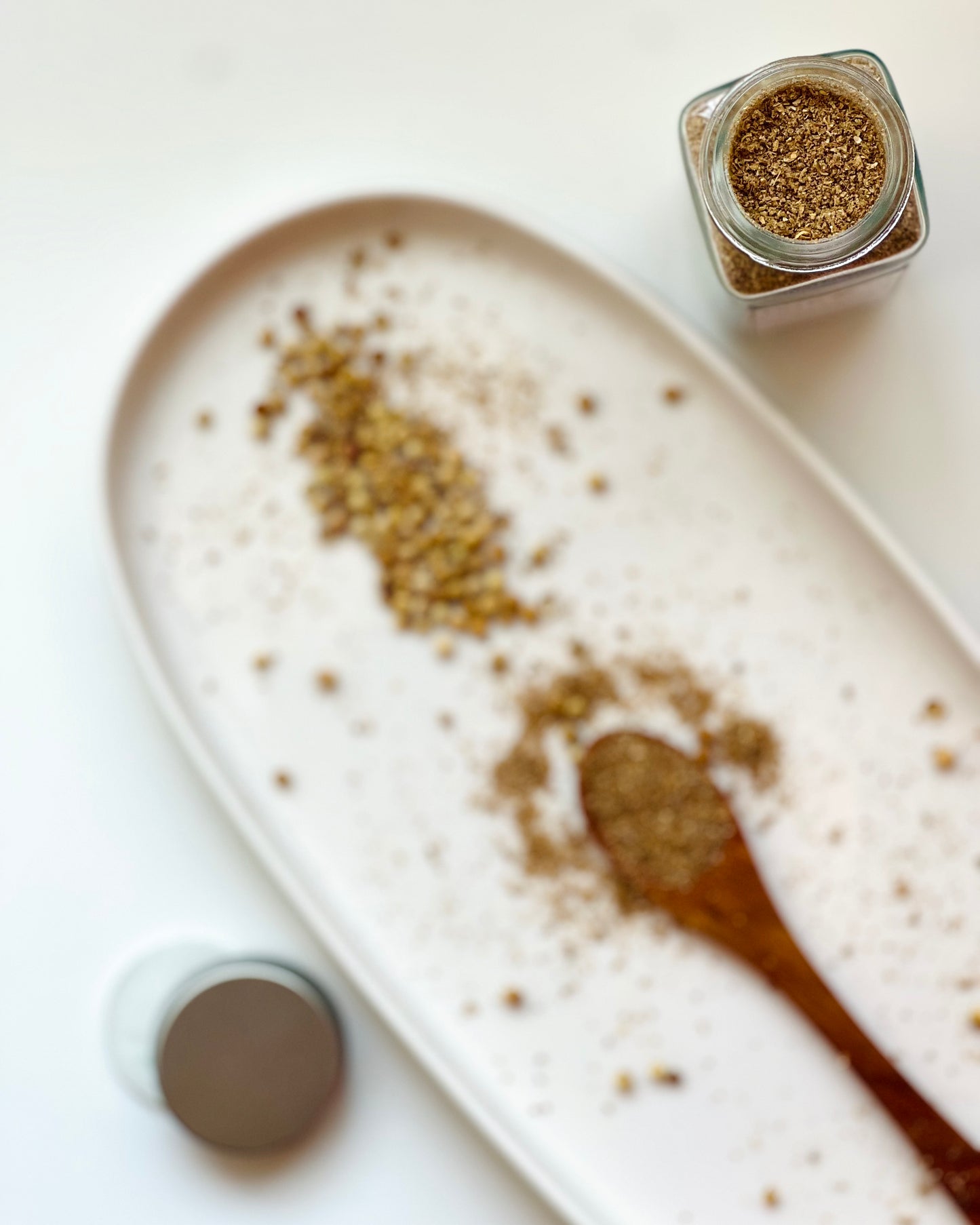 Coriander